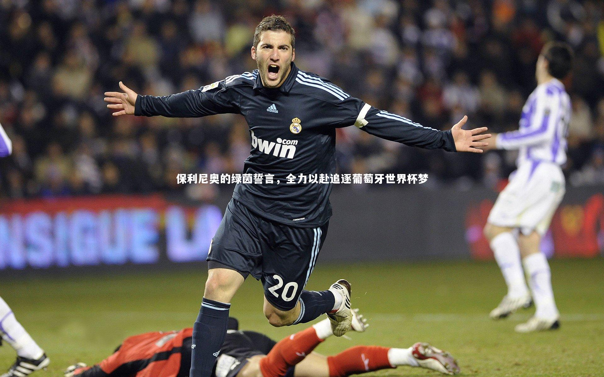 B体育|保利尼奥的绿茵誓言，全力以赴追逐葡萄牙世界杯梦