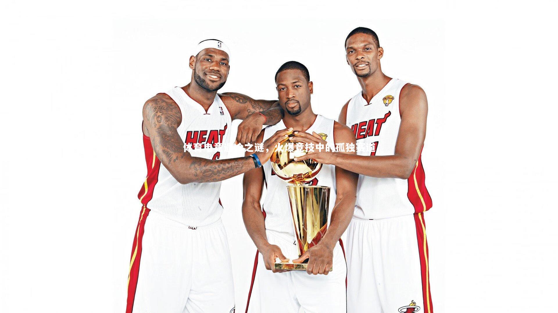 B体育官方网站-体育电竞遇冷之谜，火爆竞技中的孤独赛道